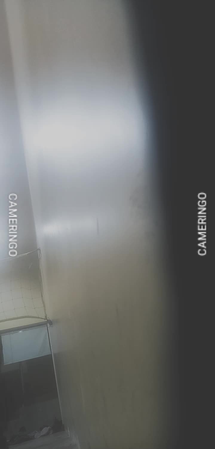 cameringo_20250303_200025