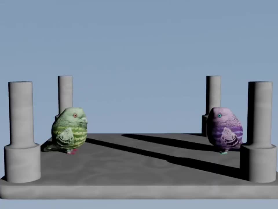 Битва арбузных голубей 3D Анимация