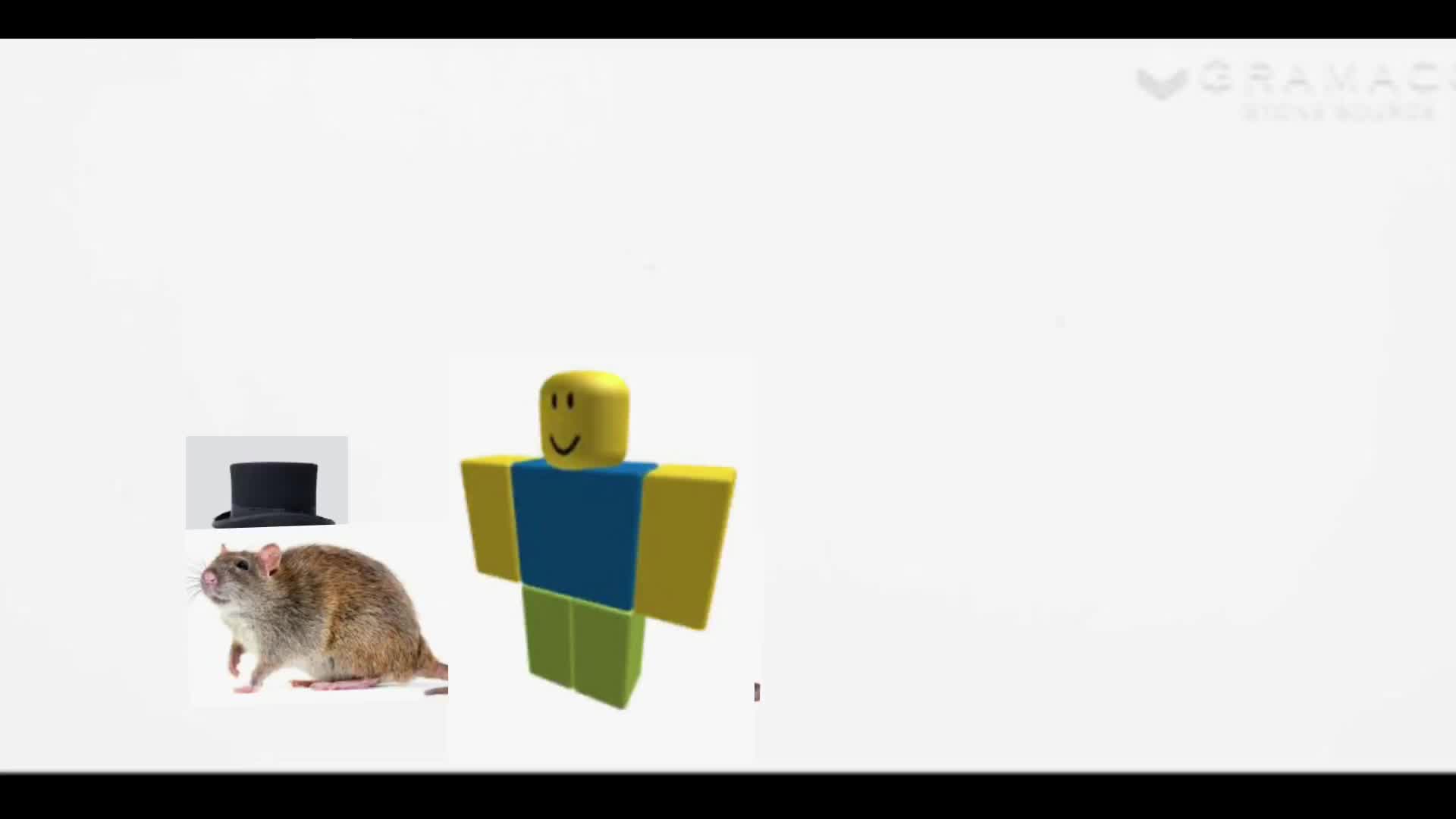 HIAN: Rats in the 14th century