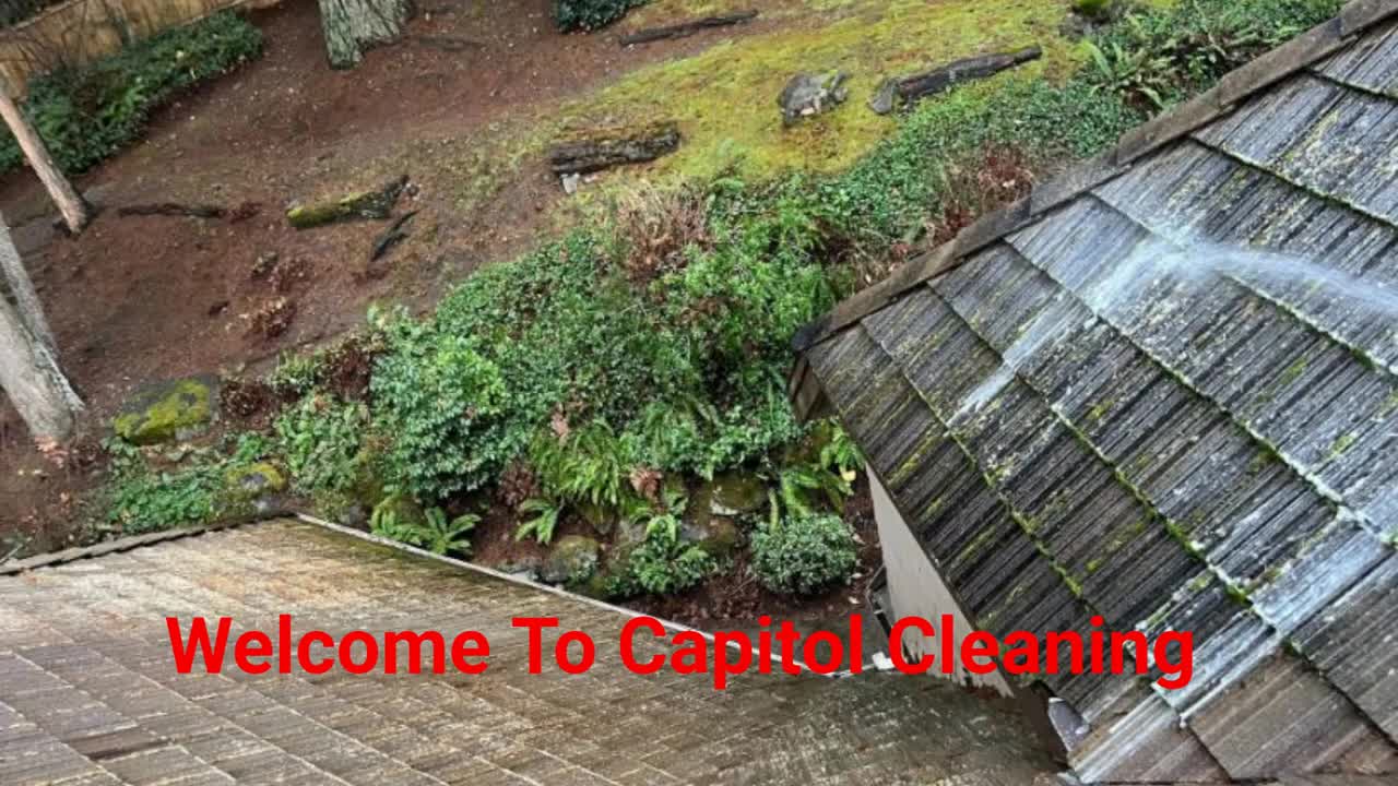 Capitol Cleaning - #1 Roof Cleaners in Seattle, WA
