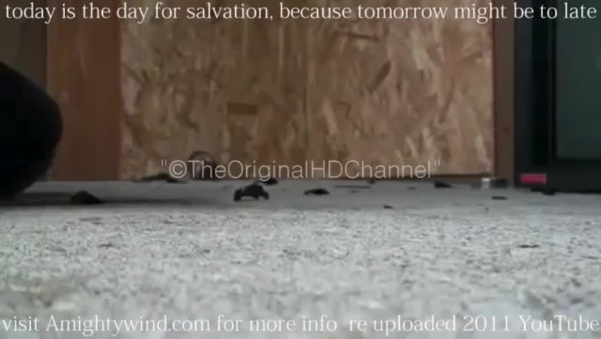 Panasonic cassette recorder destruction with Teto background music