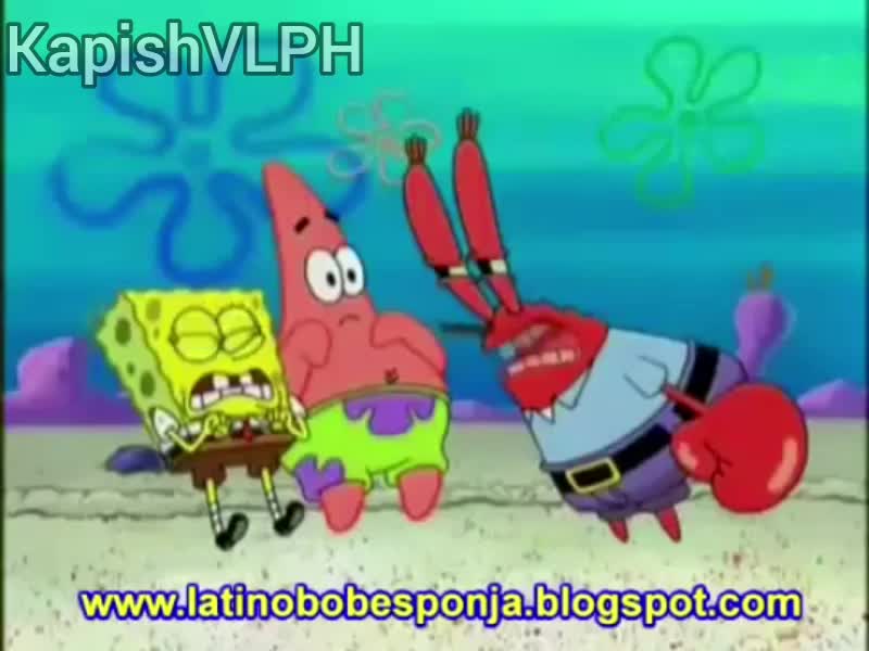 VLPH - P1T0S MOJADOS (Bob Estronja)