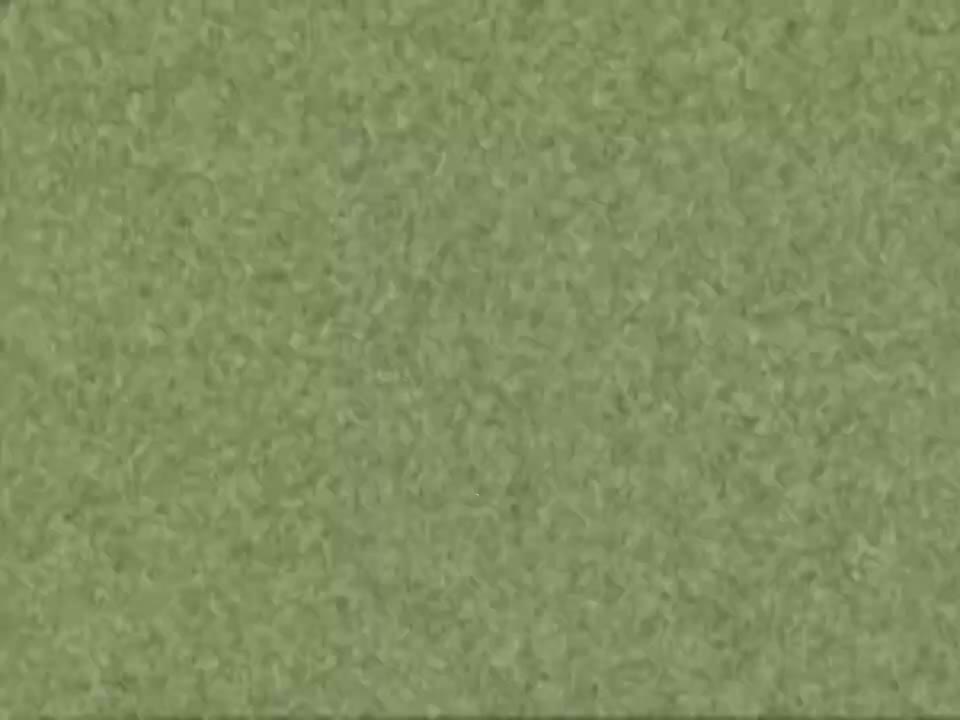 Randomy Csupo Nickel Logo_720p Randomy Csupo Nickel Logo_720p