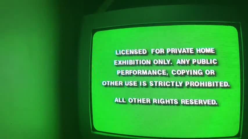 Opening to Winnie the Pooh and the Honey Tree 1993 VHS