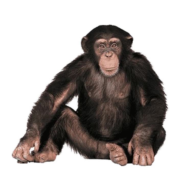 ESTO ES LO QUE TU ERES PABLO CHANGO MUERTO DE HAMBRE NO HUBIERAS EXISTIDO DAS ASCO ESTO ES LO QUE TU ERES PABLO CHANGO MUERTO DE HAMBRE NO HUBIERAS EXISTIDO DAS ASCO