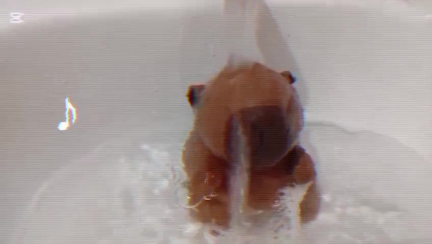 El día de después \\ PERFECTO MISERABLE\\