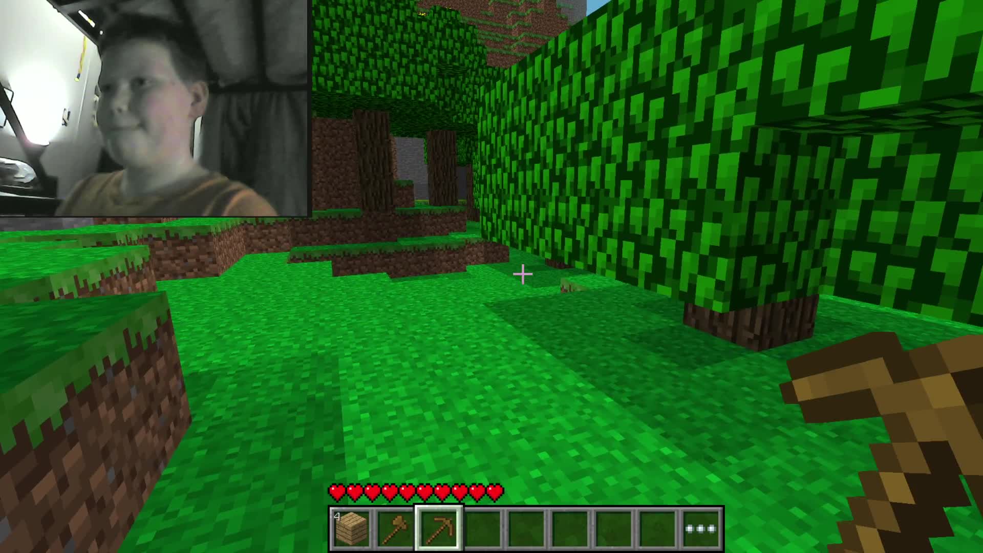 Minecraft Gameplay #1