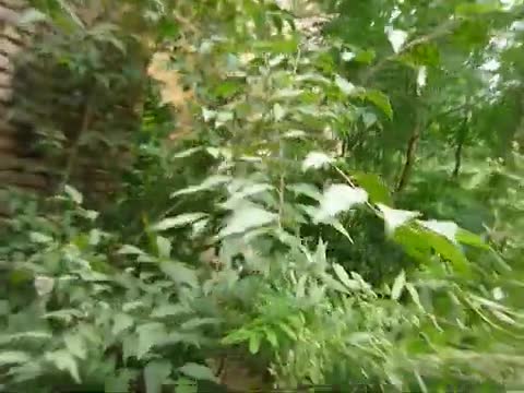 Exploración abandono R. Cano Estación FC San Martin 15_03_25 Exploración abandono R. Cano Estación FC San Martin 15_03_25