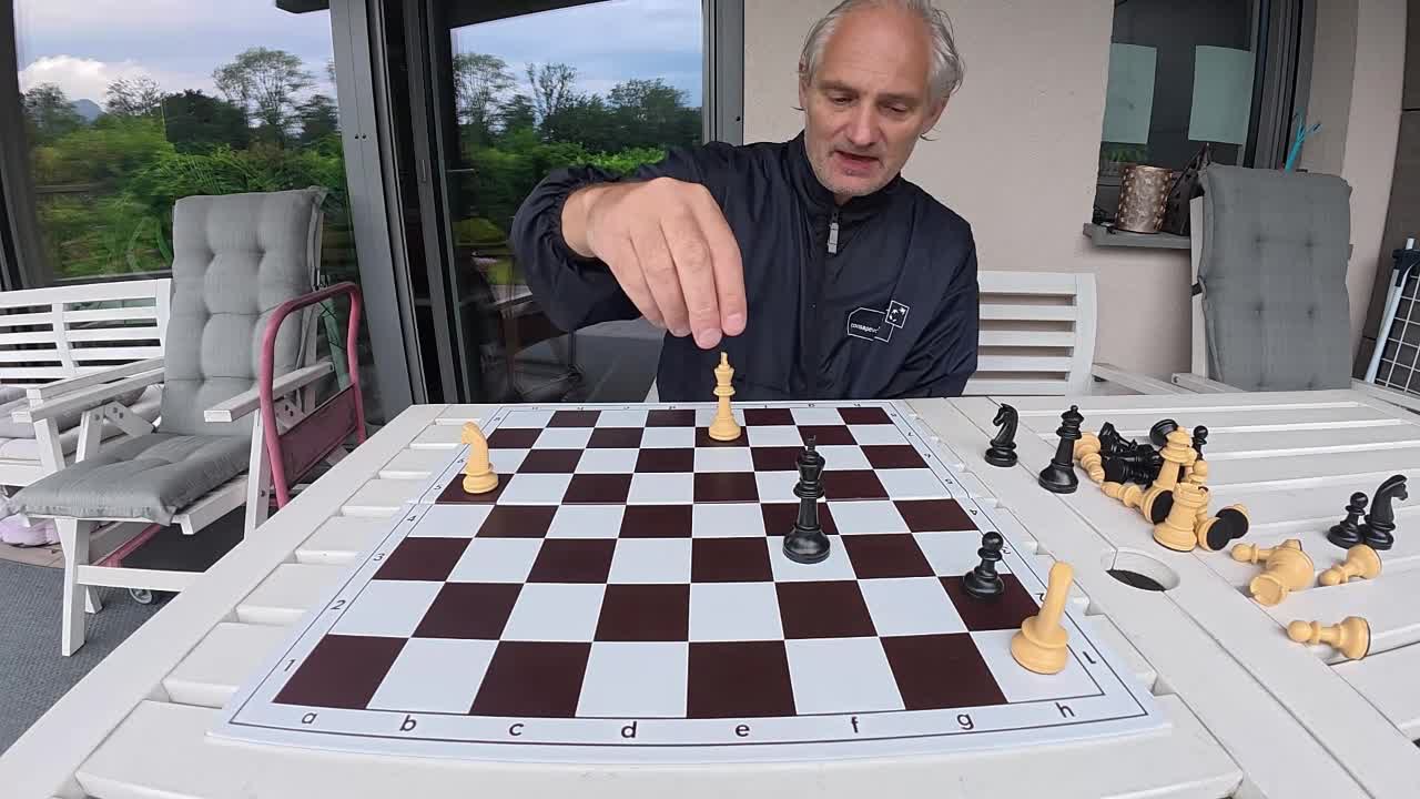 2 knights against queen. Highly complicated endgame