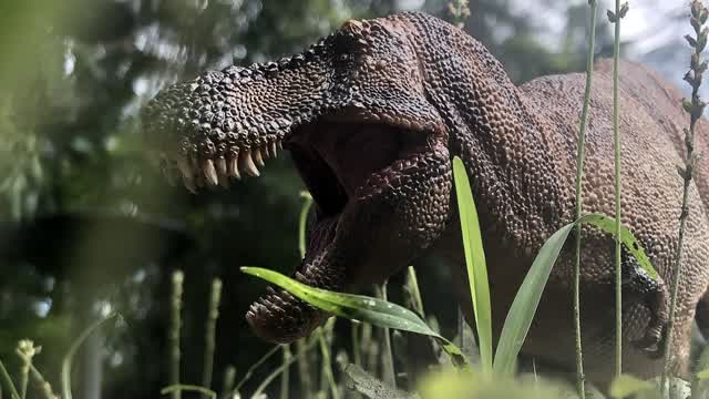 Tales of Sauria Anniversary Special Trailer (Reupload) Tales of Sauria Anniversary Special Trailer (Reupload)