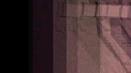 noid moment noid moment