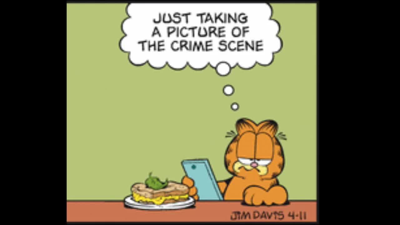2025_04_11 Garfield Dub