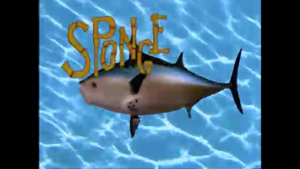 Spongebob the spingebill