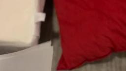 archaeologists when talking about the torah archaeologists when talking about the torah