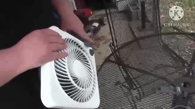 Shawn K Triple fan destruction reversed