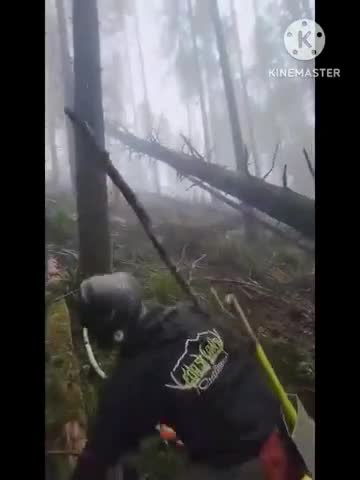 Bonk Bonk