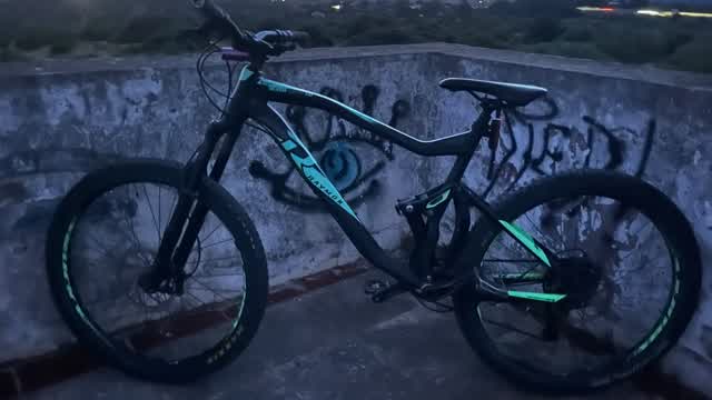 Forest Rideout