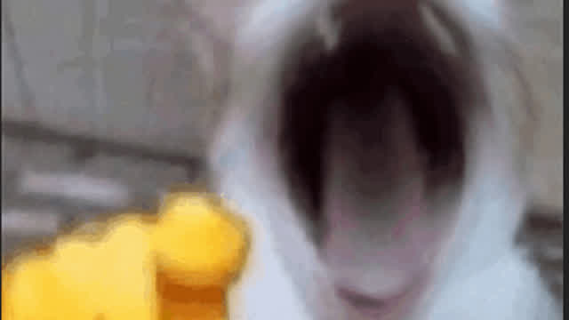 Byebye lokonet.yooco.org :D