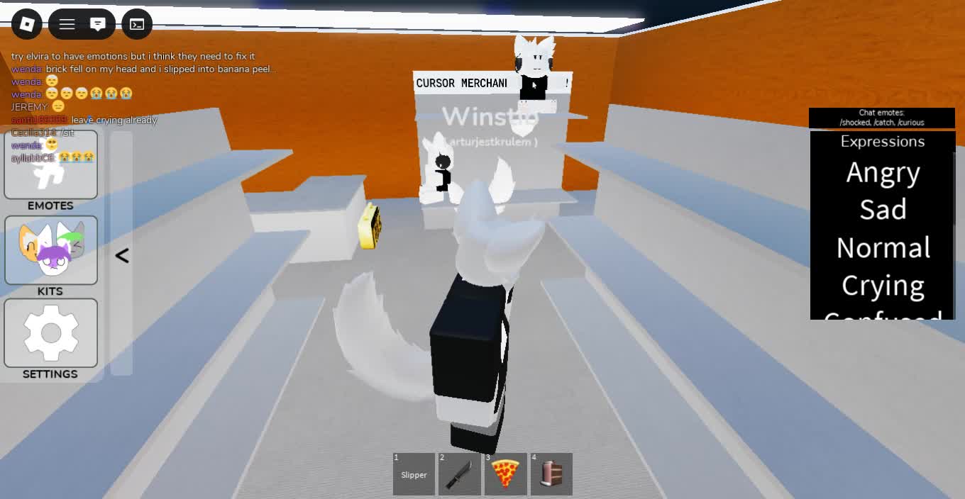 Roblox-2025-12-22T21_56_58.296Z