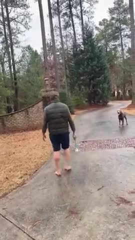 Racist pussy hides behind his pitbull