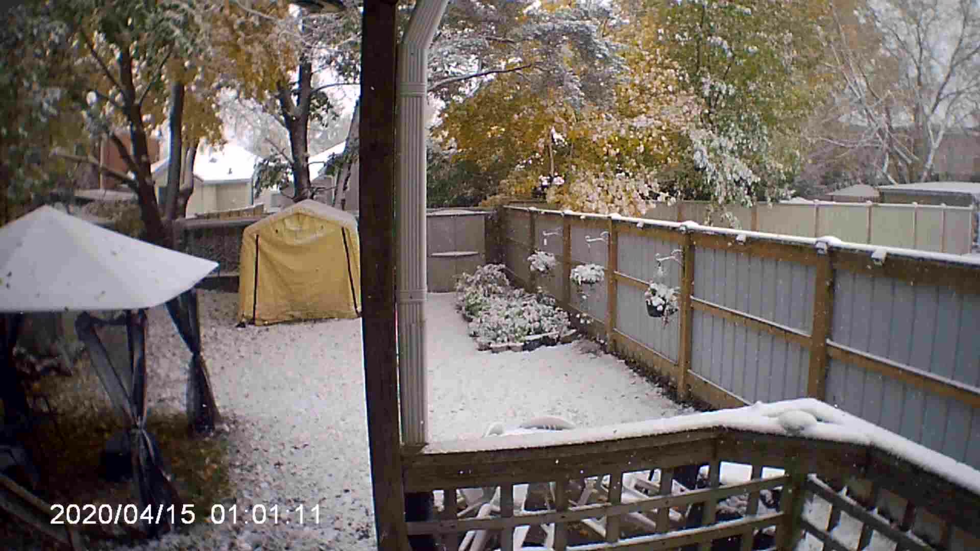 Garden tour Nov 9th, 2025