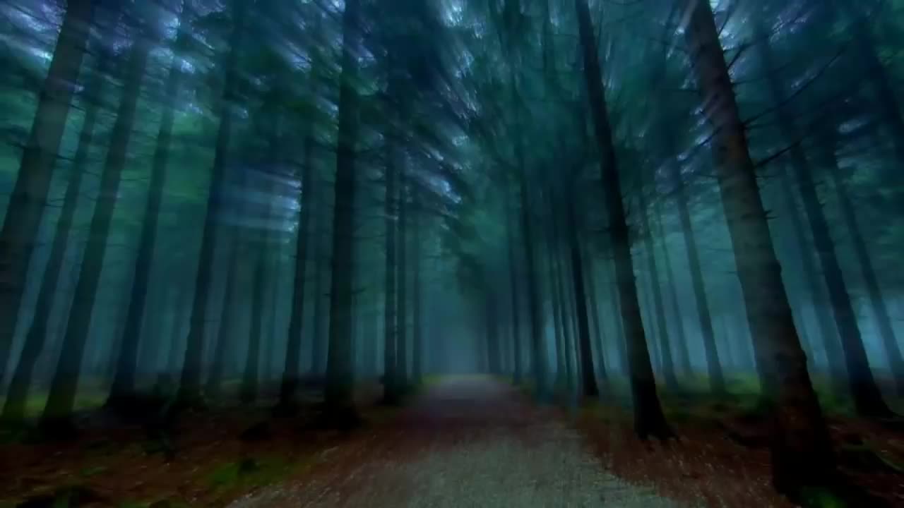 Creepypasta _ juguemos en el bosque - historia de terror para entretener(720P_HD) Creepypasta _ juguemos en el bosque - historia de terror para entretener(720P_HD)