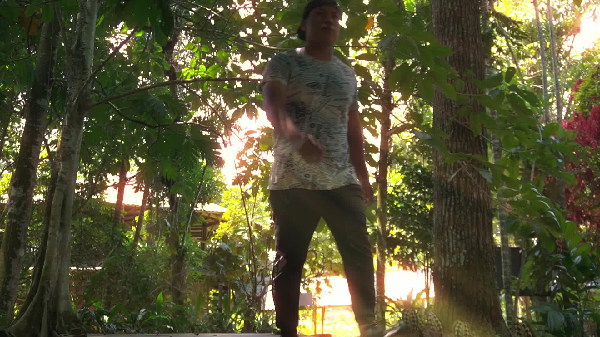 Un Paseo por la Selva