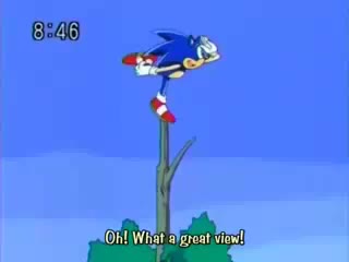 Sonic X Numa Numa - AMV by Jim Musacchio 3 Sonic X Numa Numa - AMV by Jim Musacchio 3