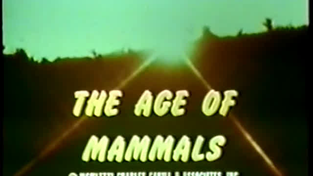 The Age of Mammals (1981) The Age of Mammals (1981)