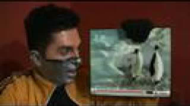 Penguin Slap Debunk