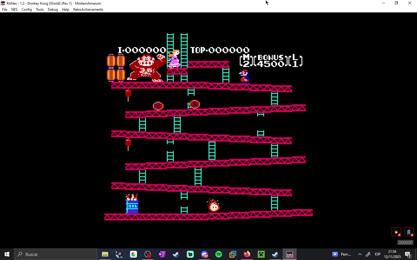 Donkey Kong NES Ladder Glitch