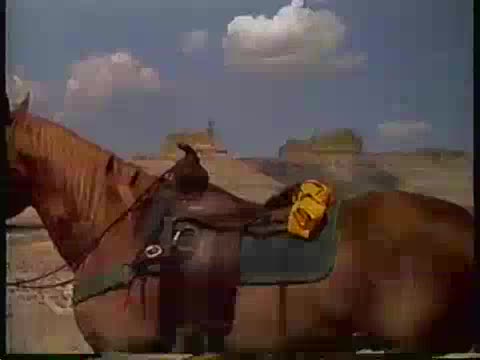 moorcoonssourceehgit