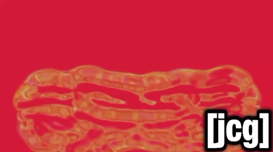 [YTP] The glitch fest was never be weird