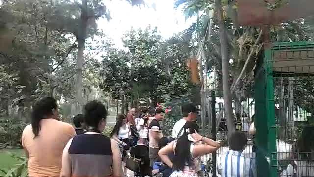 Personas afuera de la Casa Capibara, Gran Acuario Mazatlán, 28 de marzo de 2026