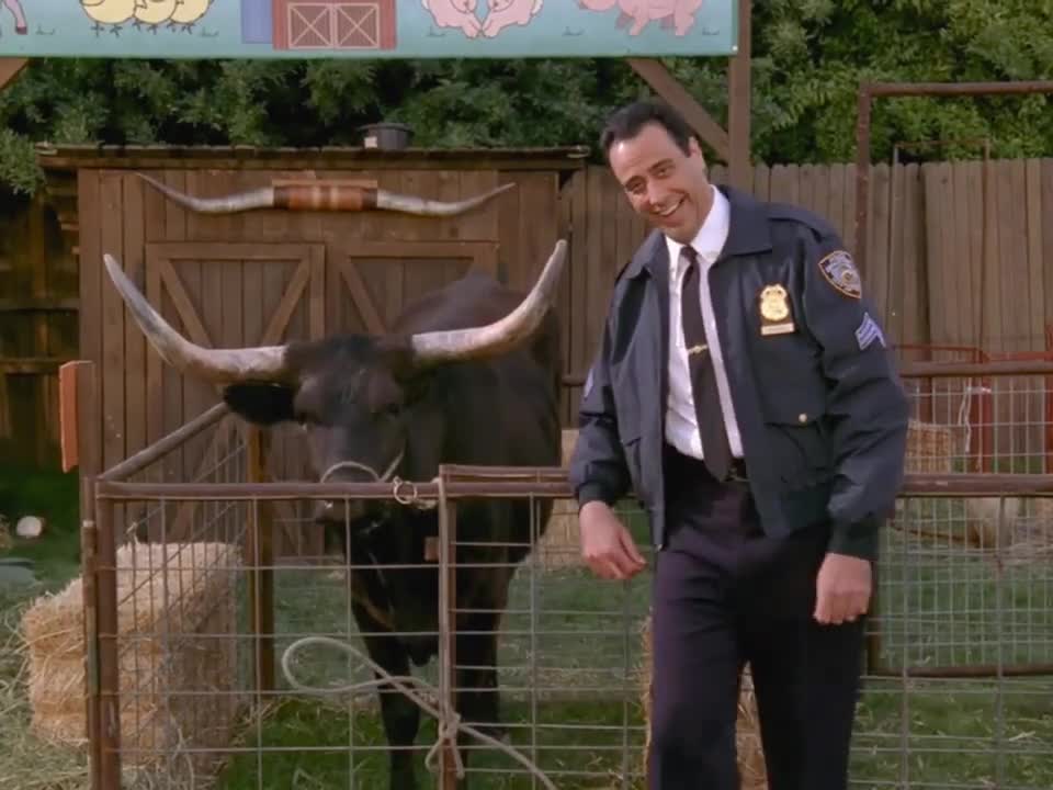 Everybody Loves Raymond S04E23 Confronting The Attacker