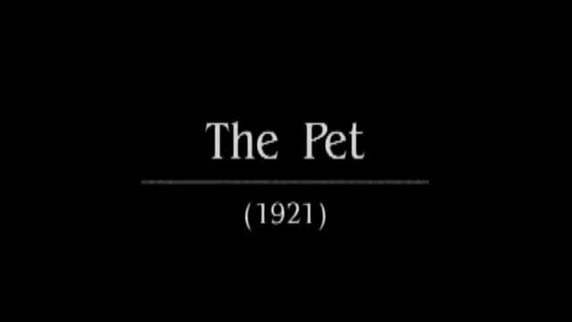 The Pet (1921)