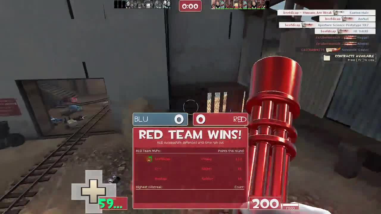 THE TF2 GAMING PRO