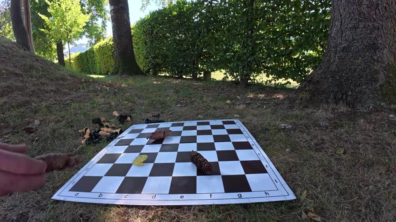2 moderately difficult chess studies – By Peter Krug