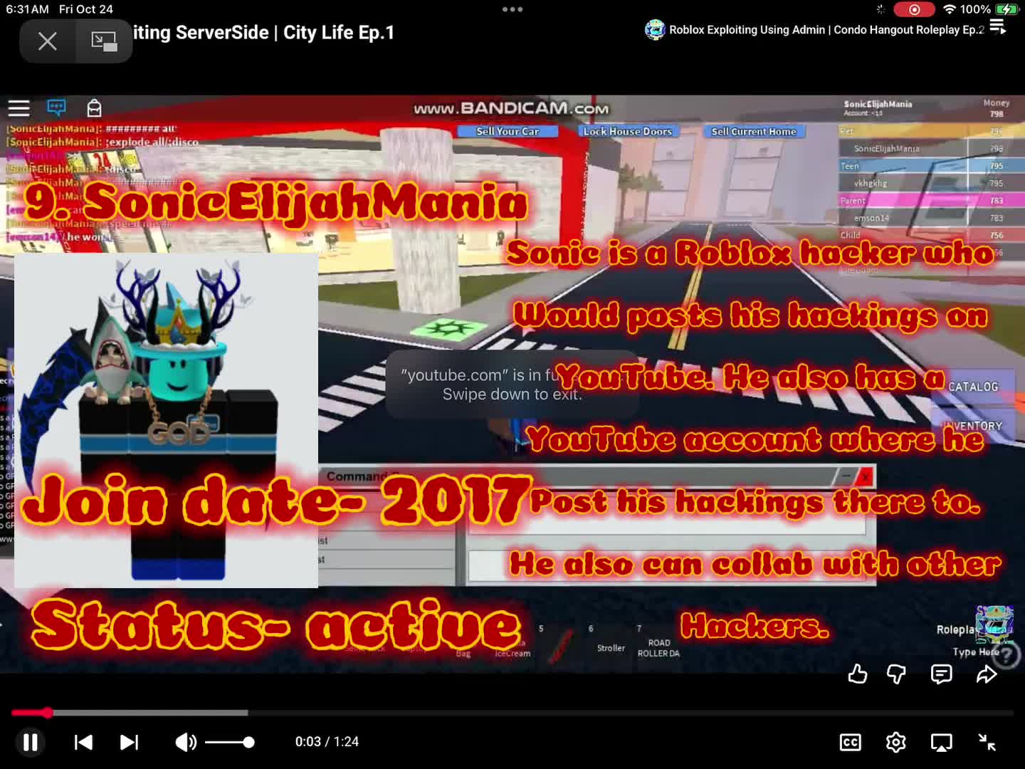 Top 10 Roblox hackers