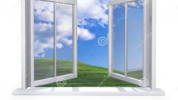 "The view aint too shabby" (NOT 4 KIDS, DOGS)