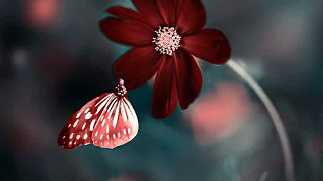 THATS A WRAP! THEYVE ALREADY COVERED UP THE STAGE OF CHARLIE KIRKS FAKE DEATH WITH CONCRETE!