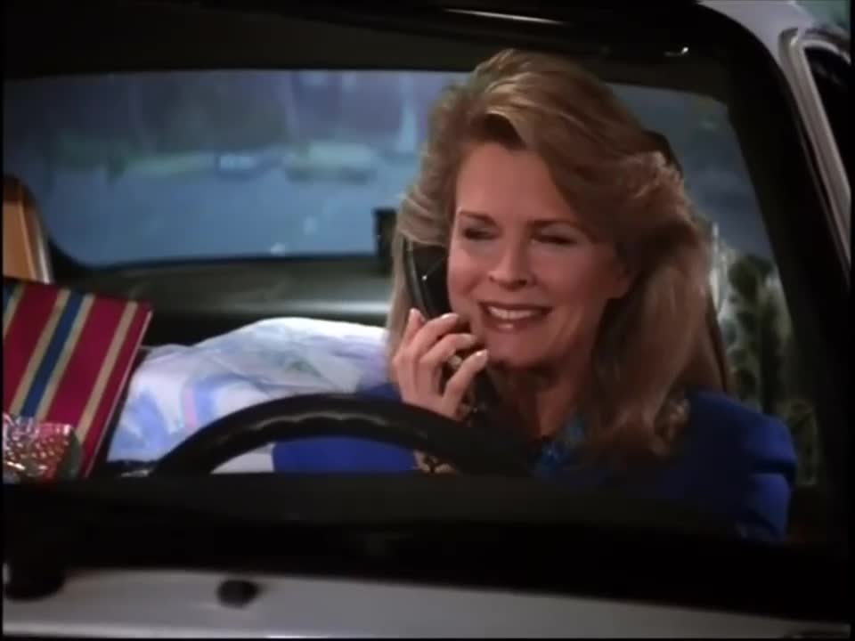 Murphy Brown   S06E13   Sox and the Single Girl