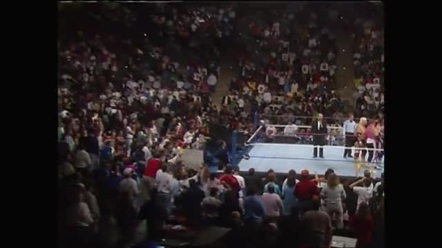 Survivor Series 1990 - The Dream Team vs. The Millions Team (4 vs. 4 Elimination Tag Team Match)