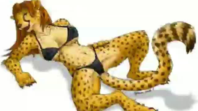 Furry Porn Free