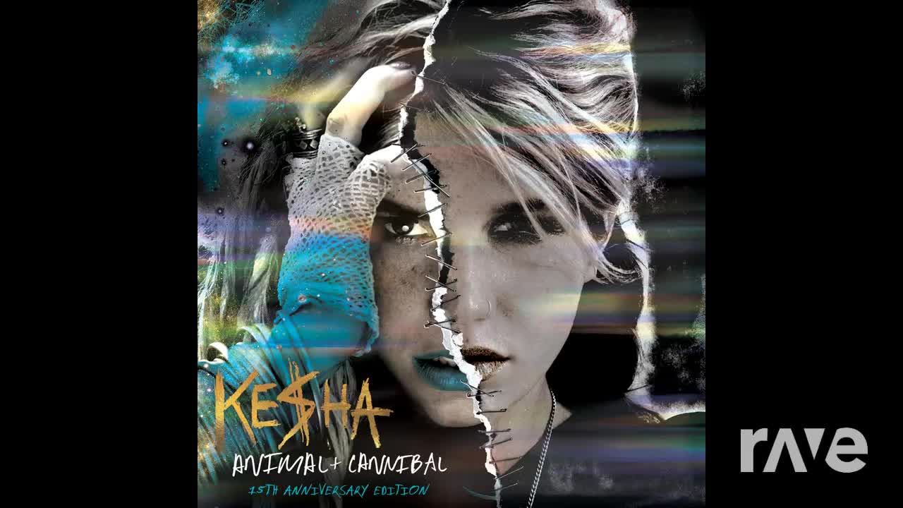 RaveDJ Epicness 3 - We Are Young x Shots on The Hood Of My Car