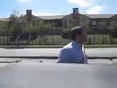Perro jijueputa