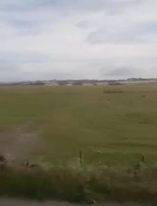 alton towers footage #1