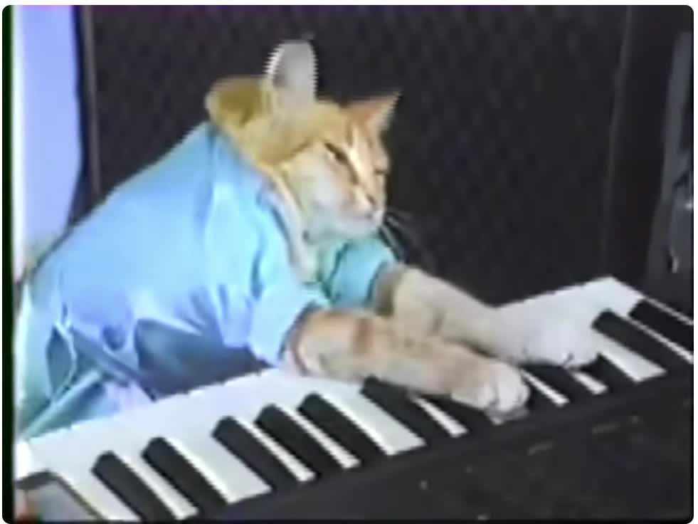 Keyboard Cat! - THE ORIGINAL!