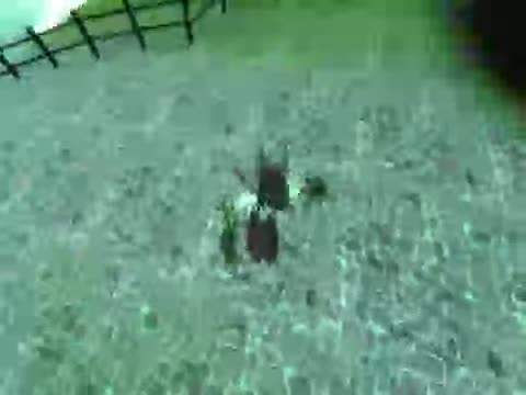 vidcam-2026-1-17 20-53-22