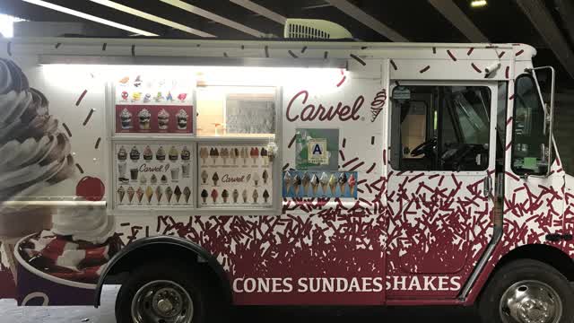 David Limas XD Gets Chased by The Bees Like a Idiot David Limas XD Gets Chased by The Bees Like a Idiot